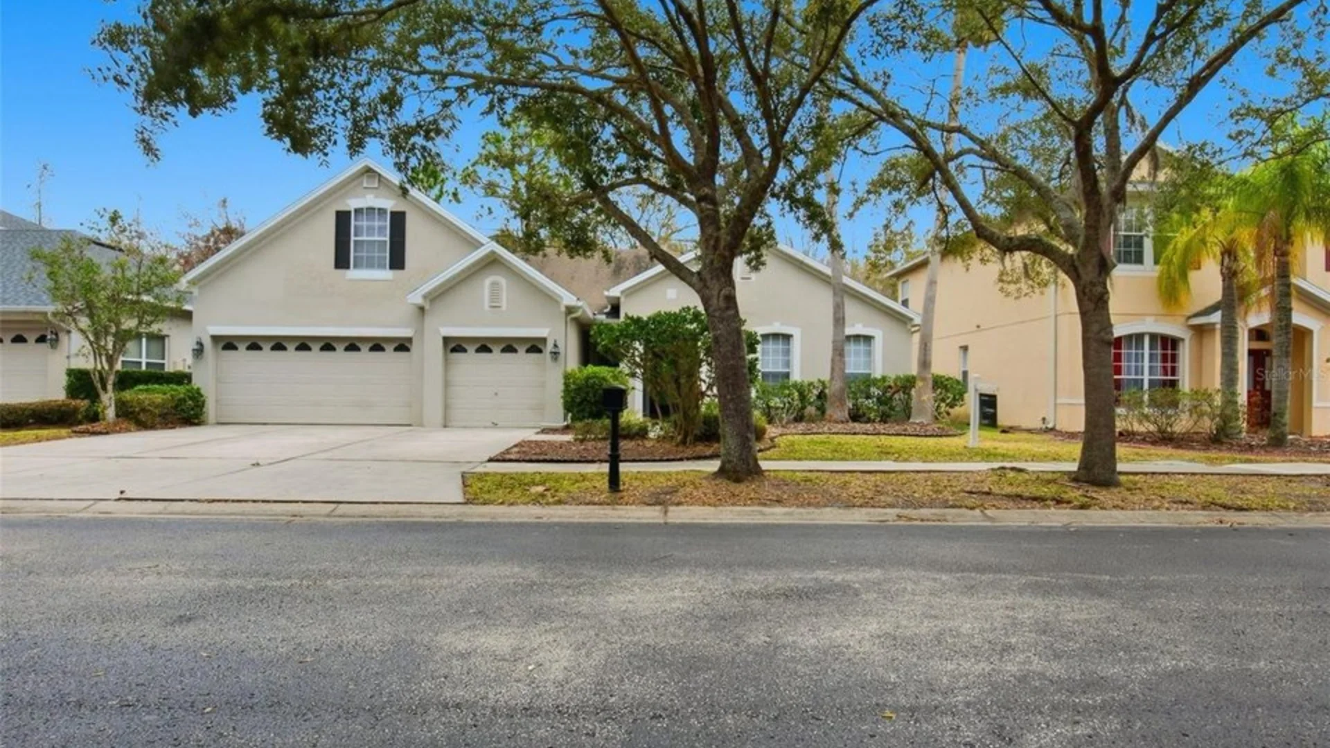 Tampa Palms homes