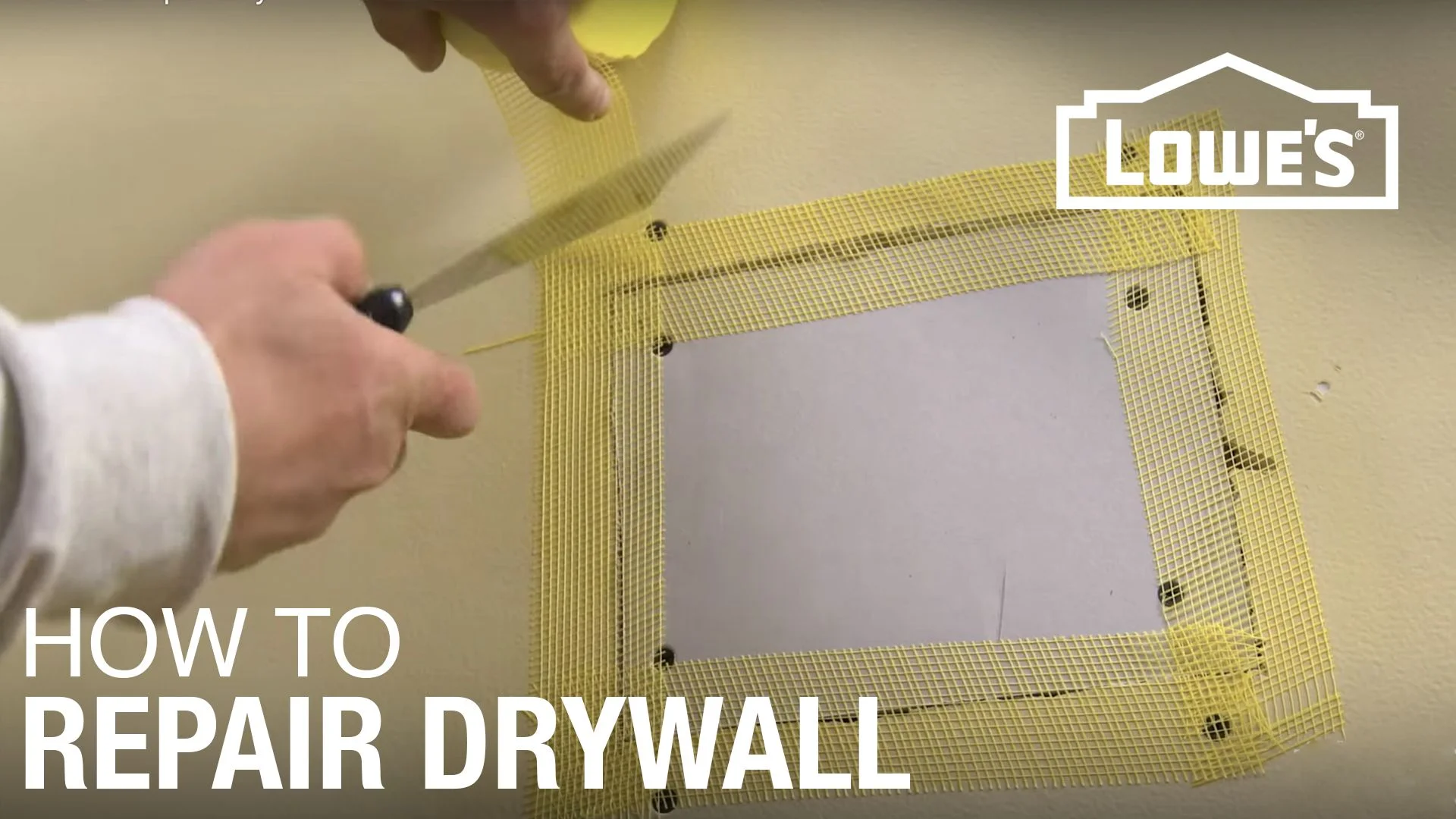 Drywall Repair & Painting in Westchase & Tampa Bay